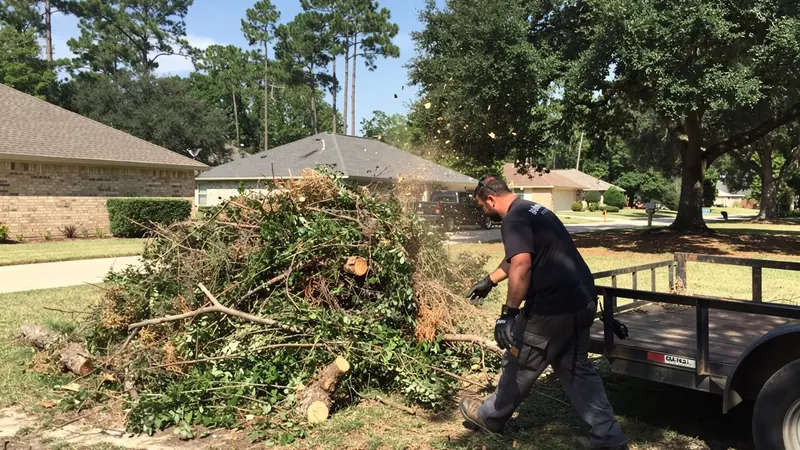 Brush Removal in College Station, TX
